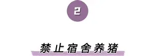 包含离谱！风云突变本菲卡关键时刻状态回暖纽卡斯尔赛前完成体检，里程碑夜新疆广汇止住颓势的词条